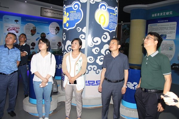 杭州亞運會官方靈芝產(chǎn)品供應(yīng)商|杭州亞運會官方供應(yīng)商|中國靈芝十大品牌|仙客來靈芝|仙客來靈芝破壁孢子粉|仙客來孢子油|仙客來靈芝飲片|仙客來破壁孢子粉|靈芝孢子油|孢子粉|靈芝破壁孢子粉|靈芝|中華老字號 杭州亞運會官方靈芝產(chǎn)品供應(yīng)商|杭州亞運會官方供應(yīng)商|中國靈芝十大品牌|仙客來靈芝|仙客來靈芝破壁孢子粉|仙客來孢子油|仙客來靈芝飲片|仙客來破壁孢子粉|靈芝孢子油|孢子粉|靈芝破壁孢子粉|靈芝|中華老字號