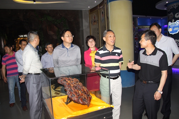 杭州亞運會官方靈芝產(chǎn)品供應(yīng)商|杭州亞運會官方供應(yīng)商|中國靈芝十大品牌|仙客來靈芝|仙客來靈芝破壁孢子粉|仙客來孢子油|仙客來靈芝飲片|仙客來破壁孢子粉|靈芝孢子油|孢子粉|靈芝破壁孢子粉|靈芝|中華老字號 杭州亞運會官方靈芝產(chǎn)品供應(yīng)商|杭州亞運會官方供應(yīng)商|中國靈芝十大品牌|仙客來靈芝|仙客來靈芝破壁孢子粉|仙客來孢子油|仙客來靈芝飲片|仙客來破壁孢子粉|靈芝孢子油|孢子粉|靈芝破壁孢子粉|靈芝|中華老字號