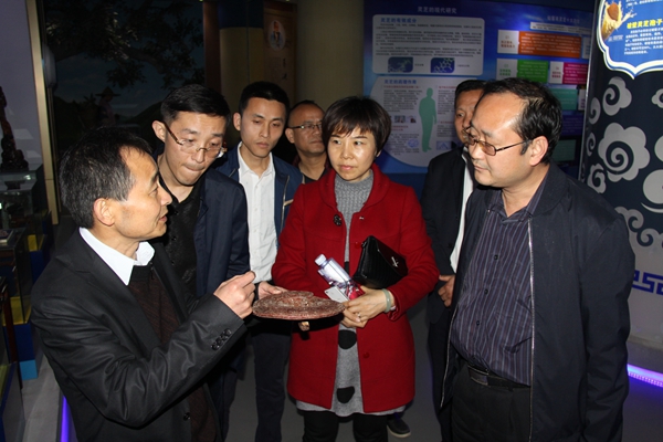 杭州亞運會官方靈芝產(chǎn)品供應商|杭州亞運會官方供應商|中國靈芝十大品牌|仙客來靈芝|仙客來靈芝破壁孢子粉|仙客來孢子油|仙客來靈芝飲片|仙客來破壁孢子粉|靈芝孢子油|孢子粉|靈芝破壁孢子粉|靈芝|中華老字號 杭州亞運會官方靈芝產(chǎn)品供應商|杭州亞運會官方供應商|中國靈芝十大品牌|仙客來靈芝|仙客來靈芝破壁孢子粉|仙客來孢子油|仙客來靈芝飲片|仙客來破壁孢子粉|靈芝孢子油|孢子粉|靈芝破壁孢子粉|靈芝|中華老字號