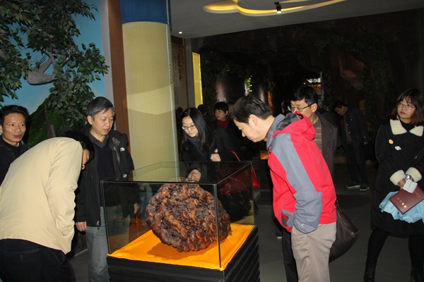 杭州亞運(yùn)會官方靈芝產(chǎn)品供應(yīng)商|杭州亞運(yùn)會官方供應(yīng)商|中國靈芝十大品牌|仙客來靈芝|仙客來靈芝破壁孢子粉|仙客來孢子油|仙客來靈芝飲片|仙客來破壁孢子粉|靈芝孢子油|孢子粉|靈芝破壁孢子粉|靈芝|中華老字號 杭州亞運(yùn)會官方靈芝產(chǎn)品供應(yīng)商|杭州亞運(yùn)會官方供應(yīng)商|中國靈芝十大品牌|仙客來靈芝|仙客來靈芝破壁孢子粉|仙客來孢子油|仙客來靈芝飲片|仙客來破壁孢子粉|靈芝孢子油|孢子粉|靈芝破壁孢子粉|靈芝|中華老字號