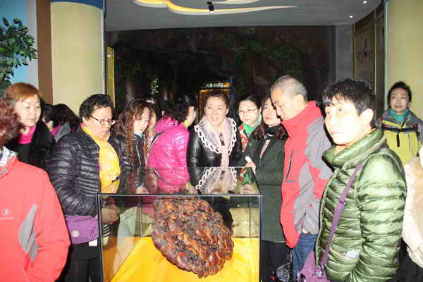 杭州亞運(yùn)會(huì)官方靈芝產(chǎn)品供應(yīng)商|杭州亞運(yùn)會(huì)官方供應(yīng)商|中國(guó)靈芝十大品牌|仙客來靈芝|仙客來靈芝破壁孢子粉|仙客來孢子油|仙客來靈芝飲片|仙客來破壁孢子粉|靈芝孢子油|孢子粉|靈芝破壁孢子粉|靈芝|中華老字號(hào) 杭州亞運(yùn)會(huì)官方靈芝產(chǎn)品供應(yīng)商|杭州亞運(yùn)會(huì)官方供應(yīng)商|中國(guó)靈芝十大品牌|仙客來靈芝|仙客來靈芝破壁孢子粉|仙客來孢子油|仙客來靈芝飲片|仙客來破壁孢子粉|靈芝孢子油|孢子粉|靈芝破壁孢子粉|靈芝|中華老字號(hào)