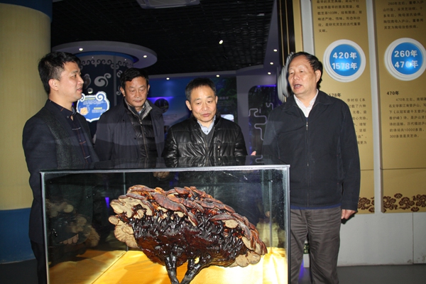 杭州亞運(yùn)會(huì)官方靈芝產(chǎn)品供應(yīng)商|杭州亞運(yùn)會(huì)官方供應(yīng)商|中國靈芝十大品牌|仙客來靈芝|仙客來靈芝破壁孢子粉|仙客來孢子油|仙客來靈芝飲片|仙客來破壁孢子粉|靈芝孢子油|孢子粉|靈芝破壁孢子粉|靈芝|中華老字號 杭州亞運(yùn)會(huì)官方靈芝產(chǎn)品供應(yīng)商|杭州亞運(yùn)會(huì)官方供應(yīng)商|中國靈芝十大品牌|仙客來靈芝|仙客來靈芝破壁孢子粉|仙客來孢子油|仙客來靈芝飲片|仙客來破壁孢子粉|靈芝孢子油|孢子粉|靈芝破壁孢子粉|靈芝|中華老字號