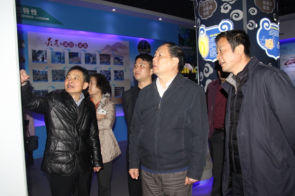 杭州亞運(yùn)會(huì)官方靈芝產(chǎn)品供應(yīng)商|杭州亞運(yùn)會(huì)官方供應(yīng)商|中國靈芝十大品牌|仙客來靈芝|仙客來靈芝破壁孢子粉|仙客來孢子油|仙客來靈芝飲片|仙客來破壁孢子粉|靈芝孢子油|孢子粉|靈芝破壁孢子粉|靈芝|中華老字號 杭州亞運(yùn)會(huì)官方靈芝產(chǎn)品供應(yīng)商|杭州亞運(yùn)會(huì)官方供應(yīng)商|中國靈芝十大品牌|仙客來靈芝|仙客來靈芝破壁孢子粉|仙客來孢子油|仙客來靈芝飲片|仙客來破壁孢子粉|靈芝孢子油|孢子粉|靈芝破壁孢子粉|靈芝|中華老字號