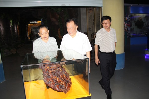 杭州亞運(yùn)會(huì)官方靈芝產(chǎn)品供應(yīng)商|杭州亞運(yùn)會(huì)官方供應(yīng)商|中國(guó)靈芝十大品牌|仙客來靈芝|仙客來靈芝破壁孢子粉|仙客來孢子油|仙客來靈芝飲片|仙客來破壁孢子粉|靈芝孢子油|孢子粉|靈芝破壁孢子粉|靈芝|中華老字號(hào) 杭州亞運(yùn)會(huì)官方靈芝產(chǎn)品供應(yīng)商|杭州亞運(yùn)會(huì)官方供應(yīng)商|中國(guó)靈芝十大品牌|仙客來靈芝|仙客來靈芝破壁孢子粉|仙客來孢子油|仙客來靈芝飲片|仙客來破壁孢子粉|靈芝孢子油|孢子粉|靈芝破壁孢子粉|靈芝|中華老字號(hào)