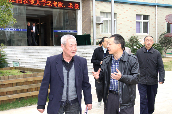 杭州亞運(yùn)會官方靈芝產(chǎn)品供應(yīng)商|杭州亞運(yùn)會官方供應(yīng)商|中國靈芝十大品牌|仙客來靈芝|仙客來靈芝破壁孢子粉|仙客來孢子油|仙客來靈芝飲片|仙客來破壁孢子粉|靈芝孢子油|孢子粉|靈芝破壁孢子粉|靈芝|中華老字號 杭州亞運(yùn)會官方靈芝產(chǎn)品供應(yīng)商|杭州亞運(yùn)會官方供應(yīng)商|中國靈芝十大品牌|仙客來靈芝|仙客來靈芝破壁孢子粉|仙客來孢子油|仙客來靈芝飲片|仙客來破壁孢子粉|靈芝孢子油|孢子粉|靈芝破壁孢子粉|靈芝|中華老字號