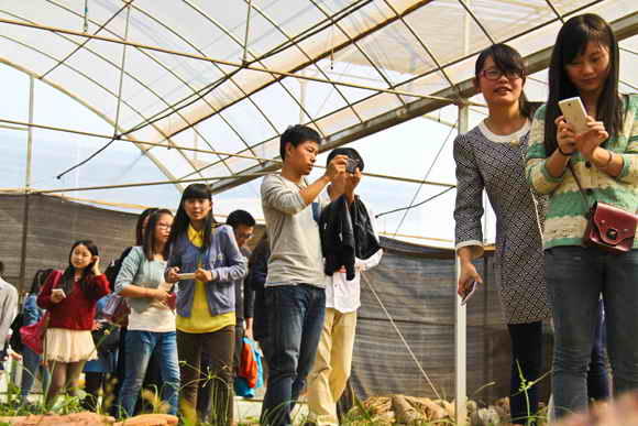 杭州亞運(yùn)會(huì)官方靈芝產(chǎn)品供應(yīng)商|杭州亞運(yùn)會(huì)官方供應(yīng)商|中國(guó)靈芝十大品牌|仙客來靈芝|仙客來靈芝破壁孢子粉|仙客來孢子油|仙客來靈芝飲片|仙客來破壁孢子粉|靈芝孢子油|孢子粉|靈芝破壁孢子粉|靈芝|中華老字號(hào)