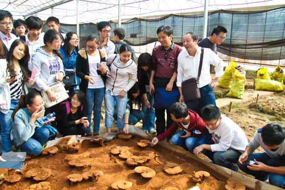 杭州亞運(yùn)會(huì)官方靈芝產(chǎn)品供應(yīng)商|杭州亞運(yùn)會(huì)官方供應(yīng)商|中國(guó)靈芝十大品牌|仙客來靈芝|仙客來靈芝破壁孢子粉|仙客來孢子油|仙客來靈芝飲片|仙客來破壁孢子粉|靈芝孢子油|孢子粉|靈芝破壁孢子粉|靈芝|中華老字號(hào)