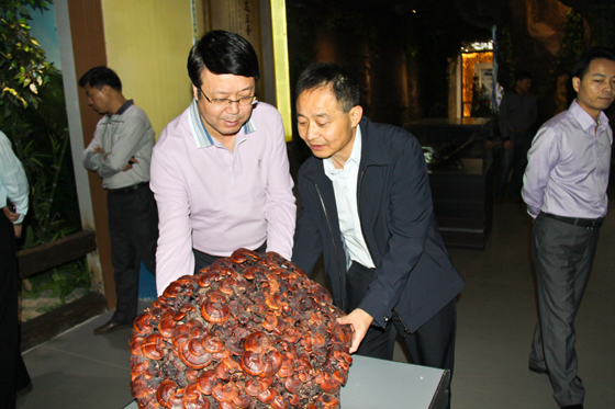 杭州亞運會官方靈芝產(chǎn)品供應商|杭州亞運會官方供應商|中國靈芝十大品牌|仙客來靈芝|仙客來靈芝破壁孢子粉|仙客來孢子油|仙客來靈芝飲片|仙客來破壁孢子粉|靈芝孢子油|孢子粉|靈芝破壁孢子粉|靈芝|中華老字號 杭州亞運會官方靈芝產(chǎn)品供應商|杭州亞運會官方供應商|中國靈芝十大品牌|仙客來靈芝|仙客來靈芝破壁孢子粉|仙客來孢子油|仙客來靈芝飲片|仙客來破壁孢子粉|靈芝孢子油|孢子粉|靈芝破壁孢子粉|靈芝|中華老字號