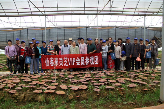 杭州亞運(yùn)會(huì)官方靈芝產(chǎn)品供應(yīng)商|杭州亞運(yùn)會(huì)官方供應(yīng)商|中國(guó)靈芝十大品牌|仙客來(lái)靈芝|仙客來(lái)靈芝破壁孢子粉|仙客來(lái)孢子油|仙客來(lái)靈芝飲片|仙客來(lái)破壁孢子粉|靈芝孢子油|孢子粉|靈芝破壁孢子粉|靈芝|中華老字號(hào) 杭州亞運(yùn)會(huì)官方靈芝產(chǎn)品供應(yīng)商|杭州亞運(yùn)會(huì)官方供應(yīng)商|中國(guó)靈芝十大品牌|仙客來(lái)靈芝|仙客來(lái)靈芝破壁孢子粉|仙客來(lái)孢子油|仙客來(lái)靈芝飲片|仙客來(lái)破壁孢子粉|靈芝孢子油|孢子粉|靈芝破壁孢子粉|靈芝|中華老字號(hào)