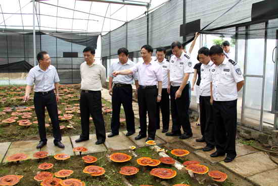 杭州亞運會官方靈芝產(chǎn)品供應商|杭州亞運會官方供應商|中國靈芝十大品牌|仙客來靈芝|仙客來靈芝破壁孢子粉|仙客來孢子油|仙客來靈芝飲片|仙客來破壁孢子粉|靈芝孢子油|孢子粉|靈芝破壁孢子粉|靈芝|中華老字號 杭州亞運會官方靈芝產(chǎn)品供應商|杭州亞運會官方供應商|中國靈芝十大品牌|仙客來靈芝|仙客來靈芝破壁孢子粉|仙客來孢子油|仙客來靈芝飲片|仙客來破壁孢子粉|靈芝孢子油|孢子粉|靈芝破壁孢子粉|靈芝|中華老字號