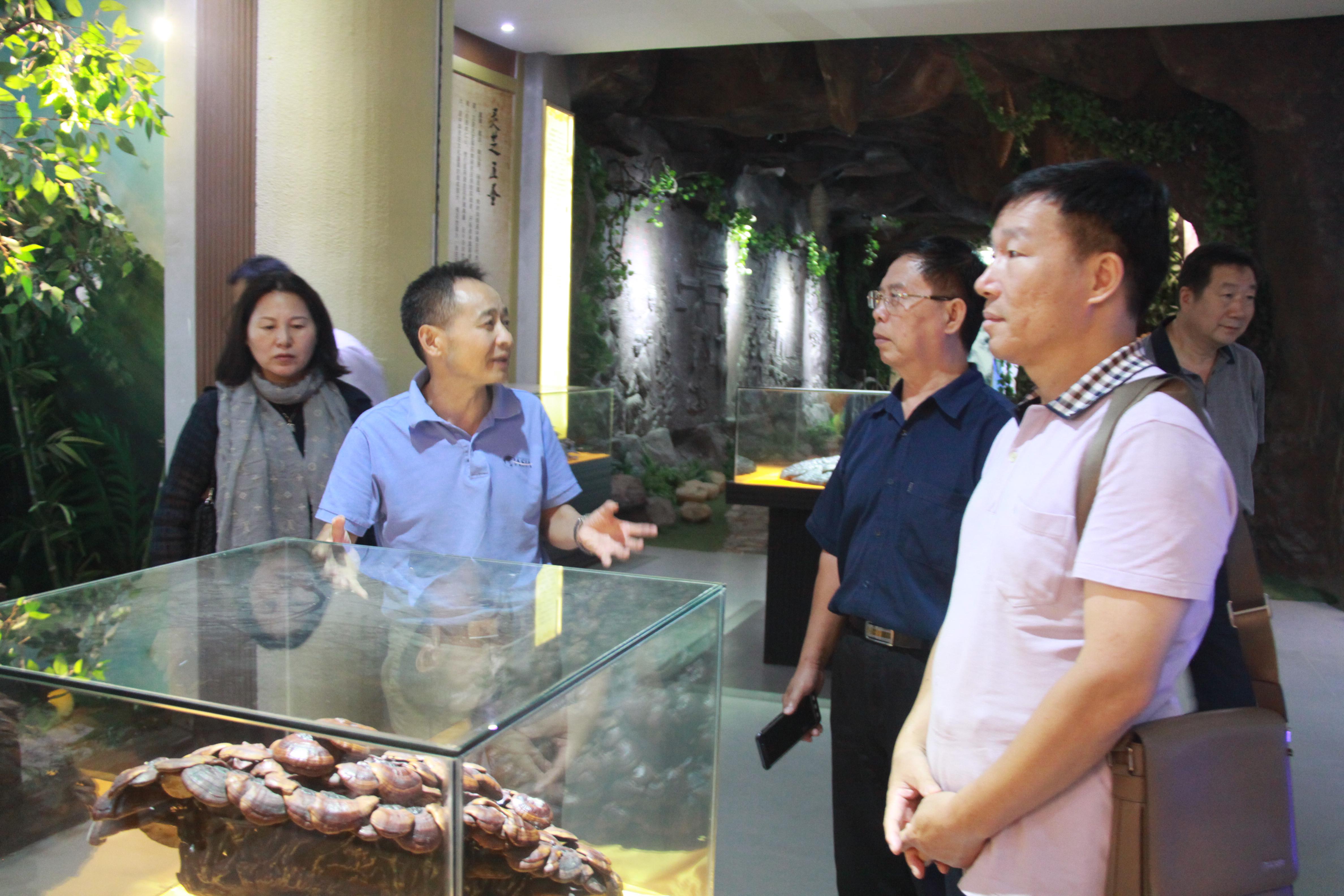 仙客來孢子粉|仙客來孢子油|仙客來靈芝|仙客來破壁孢子粉|江西老字號 仙客來孢子粉|仙客來孢子油|仙客來靈芝|仙客來破壁孢子粉|江西老字號