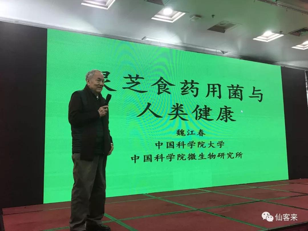 杭州亞運會官方靈芝產(chǎn)品供應商|杭州亞運會官方供應商|中國靈芝十大品牌|仙客來靈芝|仙客來靈芝破壁孢子粉|仙客來孢子油|仙客來靈芝飲片|仙客來破壁孢子粉|靈芝孢子油|孢子粉|靈芝破壁孢子粉|靈芝|中華老字號