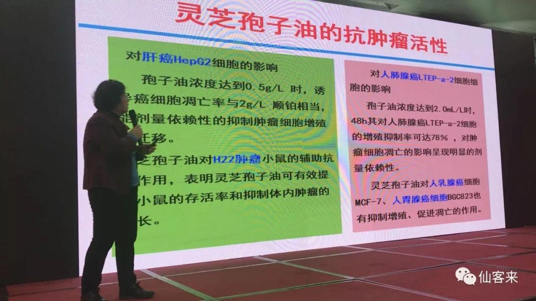 杭州亞運會官方靈芝產(chǎn)品供應商|杭州亞運會官方供應商|中國靈芝十大品牌|仙客來靈芝|仙客來靈芝破壁孢子粉|仙客來孢子油|仙客來靈芝飲片|仙客來破壁孢子粉|靈芝孢子油|孢子粉|靈芝破壁孢子粉|靈芝|中華老字號