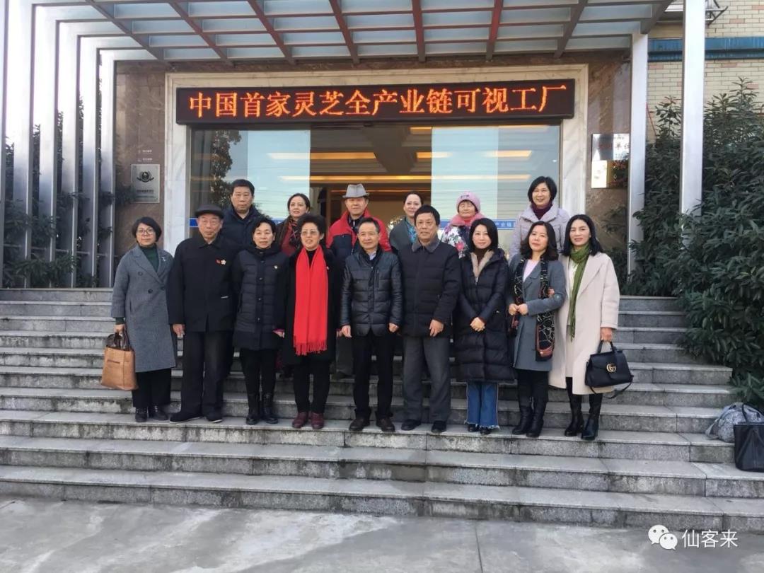 中國靈芝十大品牌|仙客來靈芝|仙客來靈芝破壁孢子粉|仙客來孢子油|仙客來靈芝飲片|仙客來破壁孢子粉|仙客來靈芝中藥飲片|馳名商標(biāo)|m.madree.com.cn|