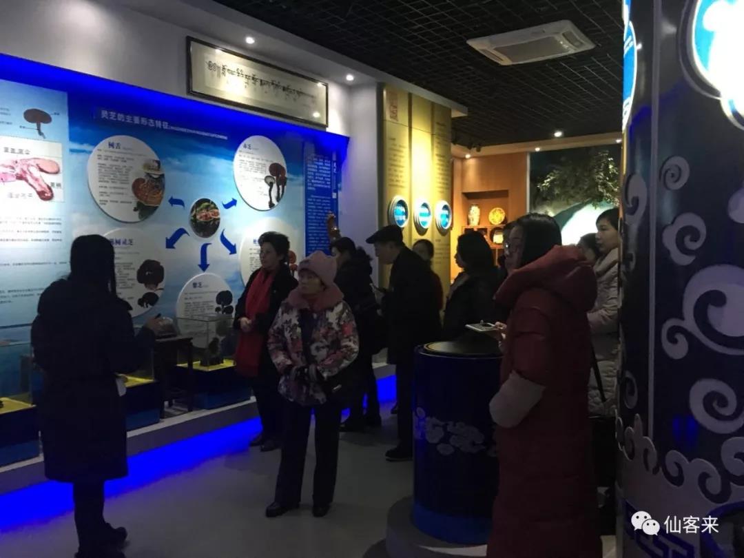 中國靈芝十大品牌|仙客來靈芝|仙客來靈芝破壁孢子粉|仙客來孢子油|仙客來靈芝飲片|仙客來破壁孢子粉|仙客來靈芝中藥飲片|馳名商標(biāo)|m.madree.com.cn| 中國靈芝十大品牌|仙客來靈芝|仙客來靈芝破壁孢子粉|仙客來孢子油|仙客來靈芝飲片|仙客來破壁孢子粉|仙客來靈芝中藥飲片|馳名商標(biāo)|m.madree.com.cn|