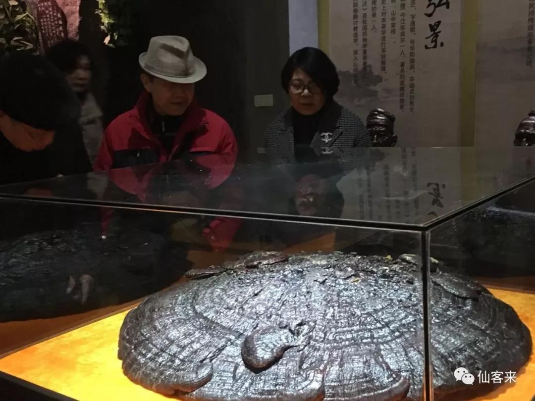 中國靈芝十大品牌|仙客來靈芝|仙客來靈芝破壁孢子粉|仙客來孢子油|仙客來靈芝飲片|仙客來破壁孢子粉|仙客來靈芝中藥飲片|馳名商標(biāo)|m.madree.com.cn| 中國靈芝十大品牌|仙客來靈芝|仙客來靈芝破壁孢子粉|仙客來孢子油|仙客來靈芝飲片|仙客來破壁孢子粉|仙客來靈芝中藥飲片|馳名商標(biāo)|m.madree.com.cn|