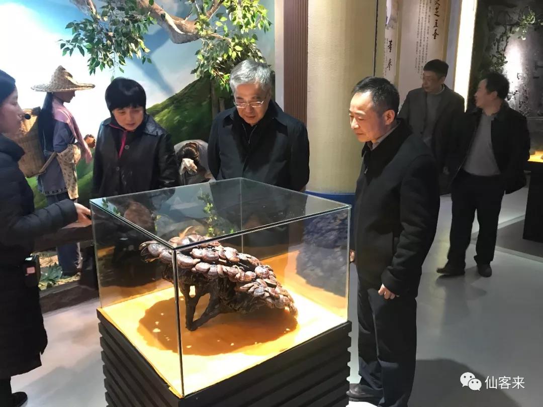 中國(guó)靈芝十大品牌|仙客來(lái)靈芝|仙客來(lái)靈芝破壁孢子粉|仙客來(lái)孢子油|仙客來(lái)靈芝飲片|仙客來(lái)破壁孢子粉|仙客來(lái)靈芝中藥飲片|馳名商標(biāo)|m.madree.com.cn|