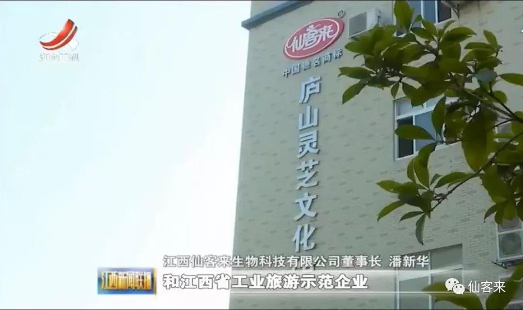 中國(guó)靈芝十大品牌|仙客來(lái)靈芝|仙客來(lái)靈芝破壁孢子粉|仙客來(lái)孢子油|仙客來(lái)靈芝飲片|仙客來(lái)破壁孢子粉|仙客來(lái)靈芝中藥飲片|馳名商標(biāo)|m.madree.com.cn| 中國(guó)靈芝十大品牌|仙客來(lái)靈芝|仙客來(lái)靈芝破壁孢子粉|仙客來(lái)孢子油|仙客來(lái)靈芝飲片|仙客來(lái)破壁孢子粉|仙客來(lái)靈芝中藥飲片|馳名商標(biāo)|m.madree.com.cn|