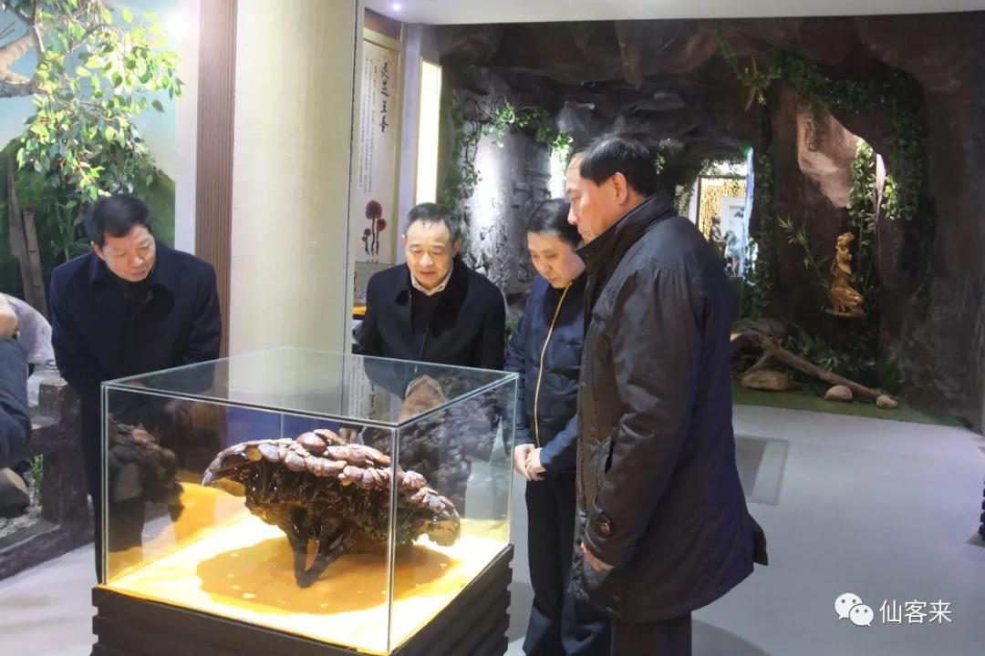 中國靈芝十大品牌|仙客來靈芝|仙客來靈芝破壁孢子粉|仙客來孢子油|仙客來靈芝飲片|仙客來破壁孢子粉|仙客來靈芝中藥飲片|馳名商標(biāo)|m.madree.com.cn| 中國靈芝十大品牌|仙客來靈芝|仙客來靈芝破壁孢子粉|仙客來孢子油|仙客來靈芝飲片|仙客來破壁孢子粉|仙客來靈芝中藥飲片|馳名商標(biāo)|m.madree.com.cn|