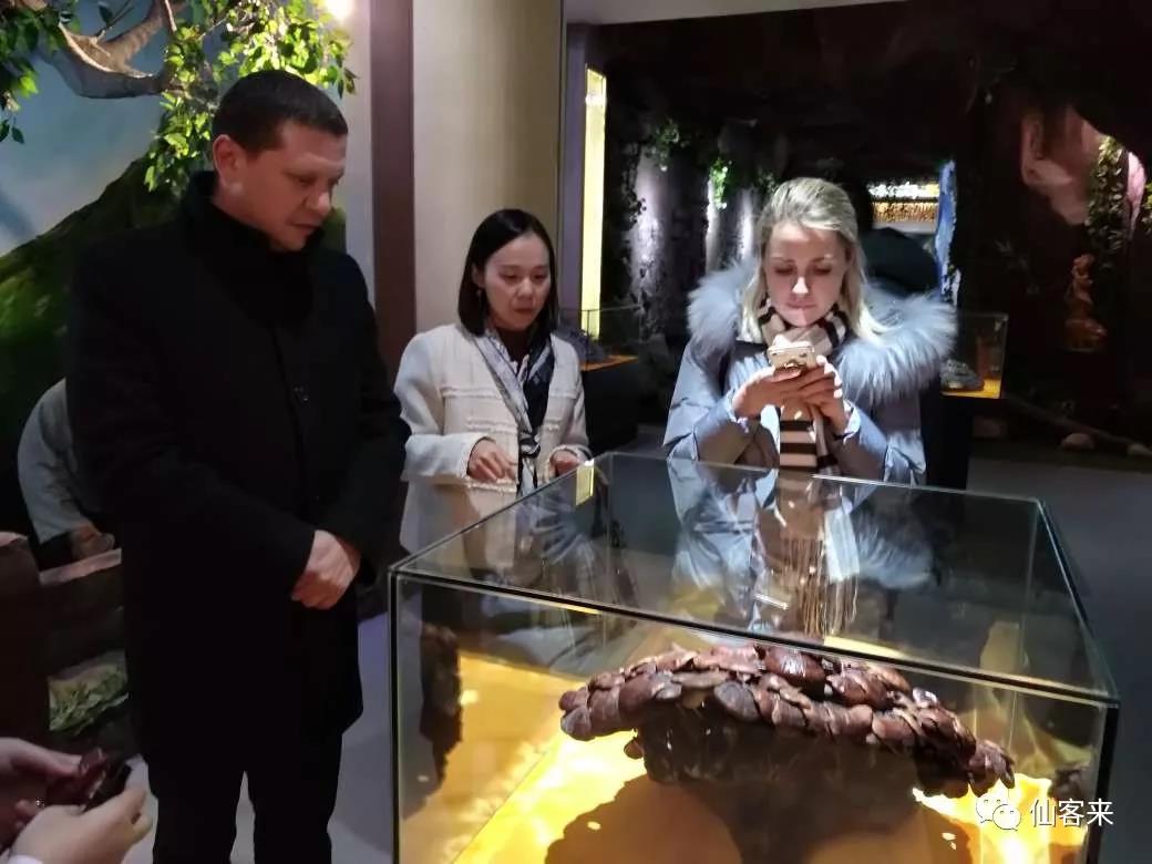 中國(guó)靈芝十大品牌|仙客來(lái)靈芝|仙客來(lái)靈芝破壁孢子粉|仙客來(lái)孢子油|仙客來(lái)靈芝飲片|仙客來(lái)破壁孢子粉|仙客來(lái)靈芝中藥飲片|馳名商標(biāo)|m.madree.com.cn|