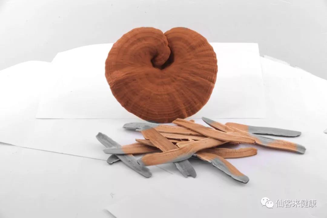 中國靈芝十大品牌|仙客來靈芝|仙客來靈芝破壁孢子粉|仙客來孢子油|仙客來靈芝飲片|仙客來破壁孢子粉|仙客來靈芝中藥飲片|馳名商標(biāo)|m.madree.com.cn| 中國靈芝十大品牌|仙客來靈芝|仙客來靈芝破壁孢子粉|仙客來孢子油|仙客來靈芝飲片|仙客來破壁孢子粉|仙客來靈芝中藥飲片|馳名商標(biāo)|m.madree.com.cn|