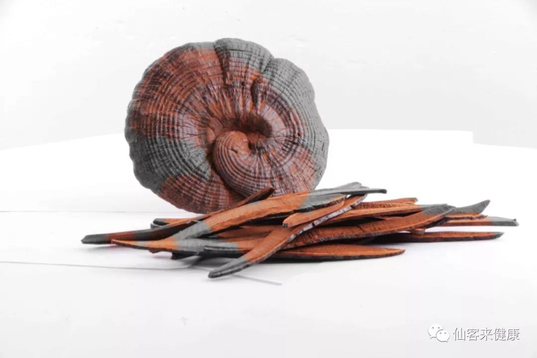 中國靈芝十大品牌|仙客來靈芝|仙客來靈芝破壁孢子粉|仙客來孢子油|仙客來靈芝飲片|仙客來破壁孢子粉|仙客來靈芝中藥飲片|馳名商標(biāo)|m.madree.com.cn| 中國靈芝十大品牌|仙客來靈芝|仙客來靈芝破壁孢子粉|仙客來孢子油|仙客來靈芝飲片|仙客來破壁孢子粉|仙客來靈芝中藥飲片|馳名商標(biāo)|m.madree.com.cn|