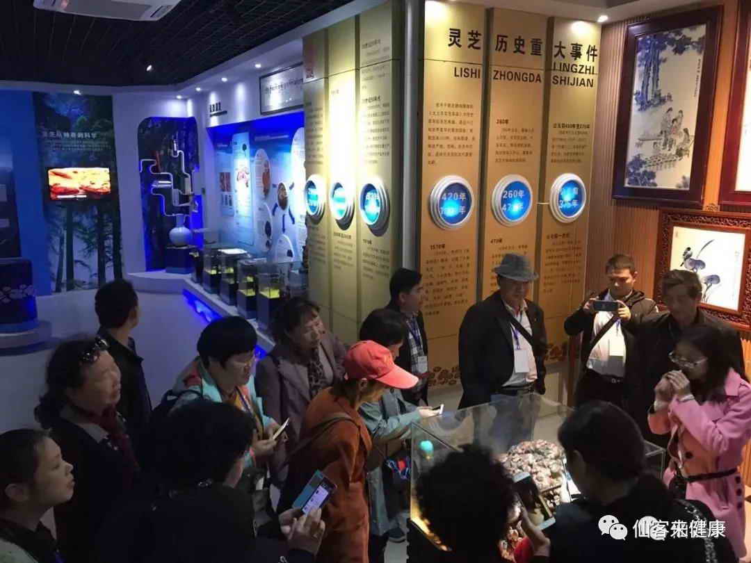 中國靈芝十大品牌|仙客來靈芝|仙客來靈芝破壁孢子粉|仙客來孢子油|仙客來靈芝飲片|仙客來破壁孢子粉|仙客來靈芝中藥飲片|馳名商標|m.madree.com.cn| 中國靈芝十大品牌|仙客來靈芝|仙客來靈芝破壁孢子粉|仙客來孢子油|仙客來靈芝飲片|仙客來破壁孢子粉|仙客來靈芝中藥飲片|馳名商標|m.madree.com.cn|