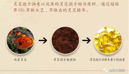 中國靈芝十大品牌|仙客來靈芝|仙客來靈芝破壁孢子粉|仙客來孢子油|仙客來靈芝飲片|仙客來破壁孢子粉|仙客來靈芝中藥飲片|馳名商標|m.madree.com.cn|