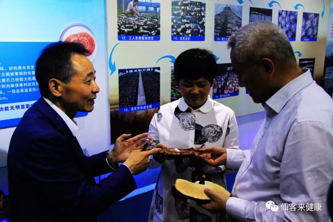 杭州亞運(yùn)會(huì)官方靈芝產(chǎn)品供應(yīng)商|杭州亞運(yùn)會(huì)官方供應(yīng)商|中國靈芝十大品牌|仙客來靈芝|仙客來靈芝破壁孢子粉|仙客來孢子油|仙客來靈芝飲片|仙客來破壁孢子粉|靈芝孢子油|孢子粉|靈芝破壁孢子粉|靈芝|中華老字號 杭州亞運(yùn)會(huì)官方靈芝產(chǎn)品供應(yīng)商|杭州亞運(yùn)會(huì)官方供應(yīng)商|中國靈芝十大品牌|仙客來靈芝|仙客來靈芝破壁孢子粉|仙客來孢子油|仙客來靈芝飲片|仙客來破壁孢子粉|靈芝孢子油|孢子粉|靈芝破壁孢子粉|靈芝|中華老字號