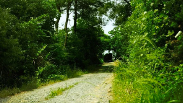 中國靈芝十大品牌|仙客來靈芝|仙客來靈芝破壁孢子粉|仙客來孢子油|仙客來靈芝飲片|仙客來破壁孢子粉|仙客來靈芝中藥飲片|馳名商標|m.madree.com.cn|