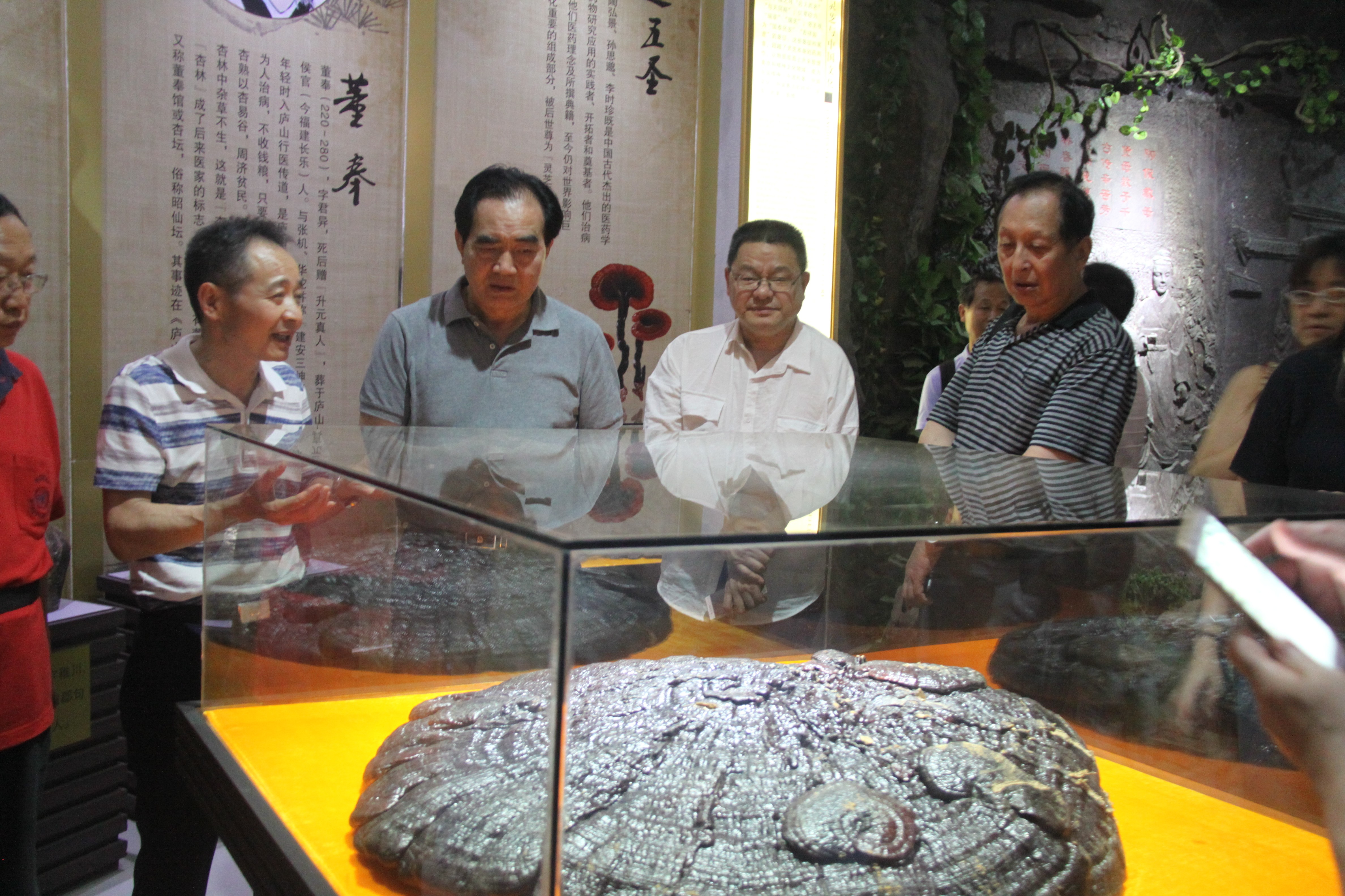 中國(guó)靈芝十大品牌|仙客來(lái)靈芝|仙客來(lái)靈芝破壁孢子粉|仙客來(lái)孢子油|仙客來(lái)靈芝飲片|仙客來(lái)破壁孢子粉|仙客來(lái)靈芝中藥飲片|馳名商標(biāo)|m.madree.com.cn| 中國(guó)靈芝十大品牌|仙客來(lái)靈芝|仙客來(lái)靈芝破壁孢子粉|仙客來(lái)孢子油|仙客來(lái)靈芝飲片|仙客來(lái)破壁孢子粉|仙客來(lái)靈芝中藥飲片|馳名商標(biāo)|m.madree.com.cn|