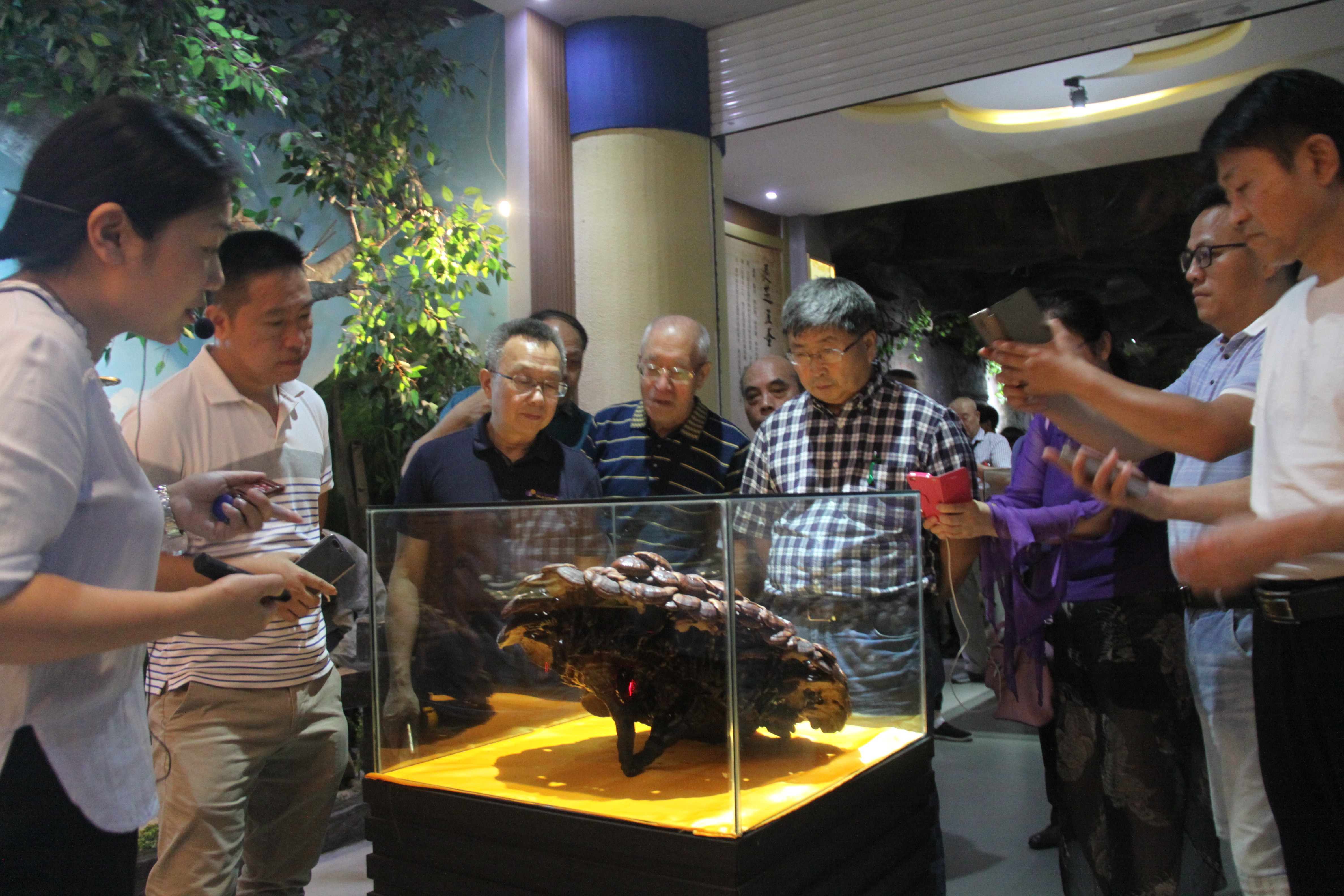 中國(guó)靈芝十大品牌|仙客來(lái)靈芝|仙客來(lái)靈芝破壁孢子粉|仙客來(lái)孢子油|仙客來(lái)靈芝飲片|仙客來(lái)破壁孢子粉|仙客來(lái)靈芝中藥飲片|馳名商標(biāo)|m.madree.com.cn| 中國(guó)靈芝十大品牌|仙客來(lái)靈芝|仙客來(lái)靈芝破壁孢子粉|仙客來(lái)孢子油|仙客來(lái)靈芝飲片|仙客來(lái)破壁孢子粉|仙客來(lái)靈芝中藥飲片|馳名商標(biāo)|m.madree.com.cn|