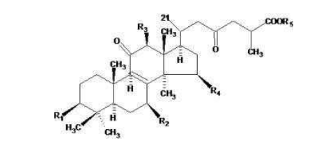 中國(guó)靈芝十大品牌|仙客來(lái)靈芝|仙客來(lái)靈芝破壁孢子粉|仙客來(lái)孢子油|仙客來(lái)靈芝飲片|仙客來(lái)破壁孢子粉|仙客來(lái)靈芝中藥飲片|馳名商標(biāo)|m.madree.com.cn|