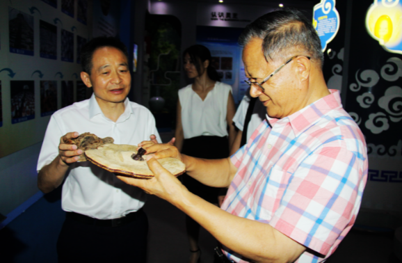 中國靈芝十大品牌|仙客來靈芝|仙客來靈芝破壁孢子粉|仙客來孢子油|仙客來靈芝飲片|仙客來破壁孢子粉|仙客來靈芝中藥飲片|馳名商標|m.madree.com.cn|