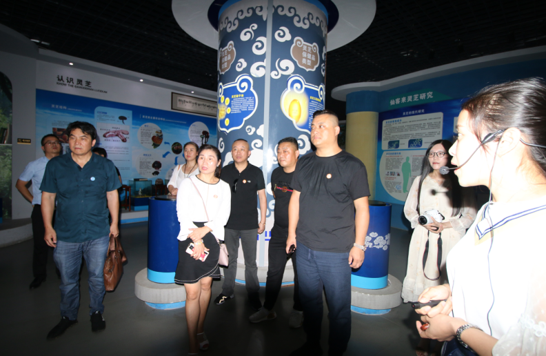 中國靈芝十大品牌|仙客來靈芝|仙客來靈芝破壁孢子粉|仙客來孢子油|仙客來靈芝飲片|仙客來破壁孢子粉|仙客來靈芝中藥飲片|馳名商標|m.madree.com.cn|