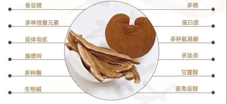 中國靈芝十大品牌|仙客來靈芝|仙客來靈芝破壁孢子粉|仙客來孢子油|仙客來靈芝飲片|仙客來破壁孢子粉|仙客來靈芝中藥飲片|馳名商標|m.madree.com.cn| 中國靈芝十大品牌|仙客來靈芝|仙客來靈芝破壁孢子粉|仙客來孢子油|仙客來靈芝飲片|仙客來破壁孢子粉|仙客來靈芝中藥飲片|馳名商標|m.madree.com.cn|