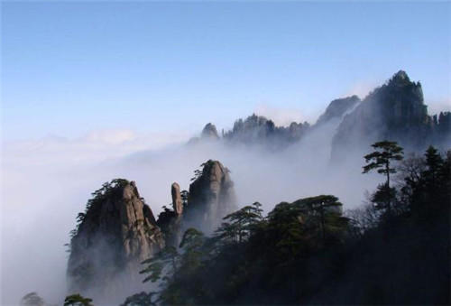 中國靈芝十大品牌|仙客來靈芝|仙客來靈芝破壁孢子粉|仙客來孢子油|仙客來靈芝飲片|仙客來破壁孢子粉|仙客來靈芝中藥飲片|馳名商標|m.madree.com.cn|