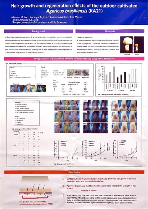 中國(guó)靈芝十大品牌|仙客來(lái)靈芝|仙客來(lái)靈芝破壁孢子粉|仙客來(lái)孢子油|仙客來(lái)靈芝飲片|仙客來(lái)破壁孢子粉|仙客來(lái)靈芝中藥飲片|馳名商標(biāo)|m.madree.com.cn| 中國(guó)靈芝十大品牌|仙客來(lái)靈芝|仙客來(lái)靈芝破壁孢子粉|仙客來(lái)孢子油|仙客來(lái)靈芝飲片|仙客來(lái)破壁孢子粉|仙客來(lái)靈芝中藥飲片|馳名商標(biāo)|m.madree.com.cn|