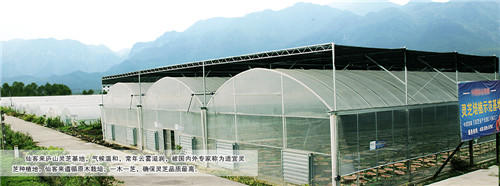 中國靈芝十大品牌|仙客來靈芝|仙客來靈芝破壁孢子粉|仙客來孢子油|仙客來靈芝飲片|仙客來破壁孢子粉|仙客來靈芝中藥飲片|馳名商標(biāo)|m.madree.com.cn|