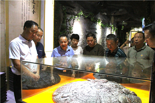 中國(guó)靈芝十大品牌|仙客來(lái)靈芝|仙客來(lái)靈芝破壁孢子粉|仙客來(lái)孢子油|仙客來(lái)靈芝飲片|仙客來(lái)破壁孢子粉|仙客來(lái)靈芝中藥飲片|馳名商標(biāo)|m.madree.com.cn|