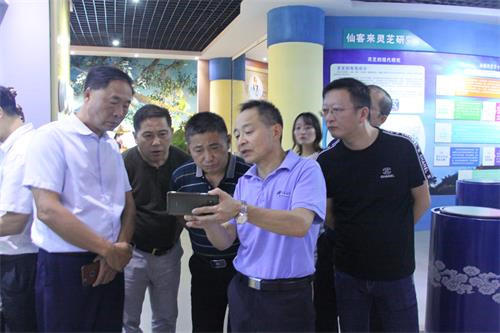 中國(guó)靈芝十大品牌|仙客來(lái)靈芝|仙客來(lái)靈芝破壁孢子粉|仙客來(lái)孢子油|仙客來(lái)靈芝飲片|仙客來(lái)破壁孢子粉|仙客來(lái)靈芝中藥飲片|馳名商標(biāo)|m.madree.com.cn|