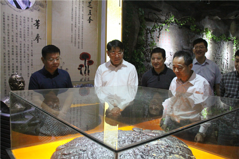 中國靈芝十大品牌|仙客來靈芝|仙客來靈芝破壁孢子粉|仙客來孢子油|仙客來靈芝飲片|仙客來破壁孢子粉|仙客來靈芝中藥飲片|馳名商標|m.madree.com.cn| 中國靈芝十大品牌|仙客來靈芝|仙客來靈芝破壁孢子粉|仙客來孢子油|仙客來靈芝飲片|仙客來破壁孢子粉|仙客來靈芝中藥飲片|馳名商標|m.madree.com.cn|