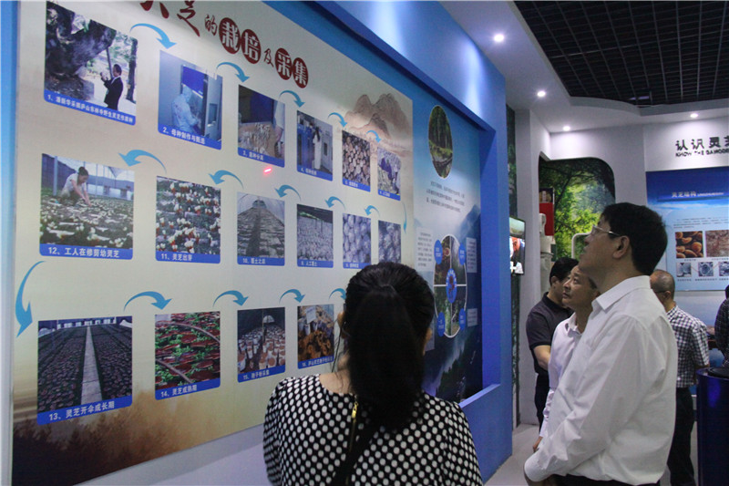 中國靈芝十大品牌|仙客來靈芝|仙客來靈芝破壁孢子粉|仙客來孢子油|仙客來靈芝飲片|仙客來破壁孢子粉|仙客來靈芝中藥飲片|馳名商標|m.madree.com.cn| 中國靈芝十大品牌|仙客來靈芝|仙客來靈芝破壁孢子粉|仙客來孢子油|仙客來靈芝飲片|仙客來破壁孢子粉|仙客來靈芝中藥飲片|馳名商標|m.madree.com.cn|