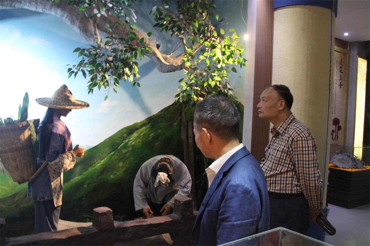 中國靈芝十大品牌|仙客來靈芝|仙客來靈芝破壁孢子粉|仙客來孢子油|仙客來靈芝飲片|仙客來破壁孢子粉|仙客來靈芝中藥飲片|馳名商標(biāo)|m.madree.com.cn| 中國靈芝十大品牌|仙客來靈芝|仙客來靈芝破壁孢子粉|仙客來孢子油|仙客來靈芝飲片|仙客來破壁孢子粉|仙客來靈芝中藥飲片|馳名商標(biāo)|m.madree.com.cn|