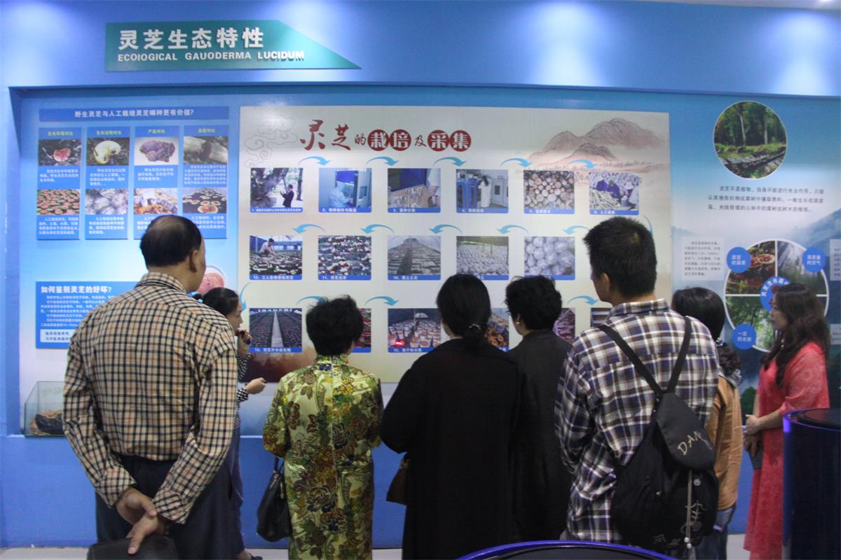 中國靈芝十大品牌|仙客來靈芝|仙客來靈芝破壁孢子粉|仙客來孢子油|仙客來靈芝飲片|仙客來破壁孢子粉|仙客來靈芝中藥飲片|馳名商標(biāo)|m.madree.com.cn| 中國靈芝十大品牌|仙客來靈芝|仙客來靈芝破壁孢子粉|仙客來孢子油|仙客來靈芝飲片|仙客來破壁孢子粉|仙客來靈芝中藥飲片|馳名商標(biāo)|m.madree.com.cn|