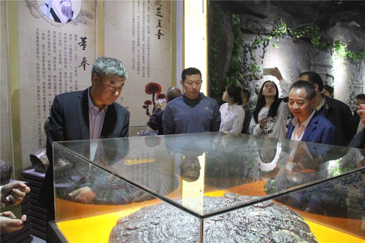 中國(guó)靈芝十大品牌|仙客來(lái)靈芝|仙客來(lái)靈芝破壁孢子粉|仙客來(lái)孢子油|仙客來(lái)靈芝飲片|仙客來(lái)破壁孢子粉|仙客來(lái)靈芝中藥飲片|馳名商標(biāo)|m.madree.com.cn|