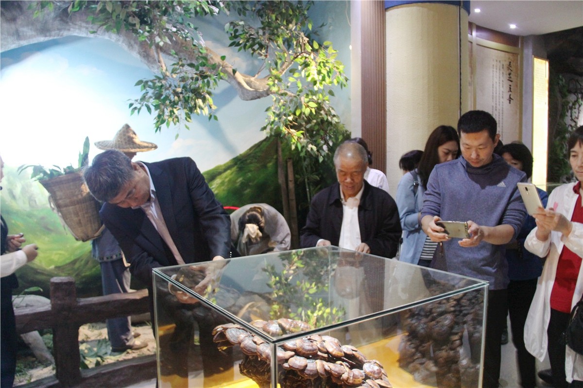 中國(guó)靈芝十大品牌|仙客來(lái)靈芝|仙客來(lái)靈芝破壁孢子粉|仙客來(lái)孢子油|仙客來(lái)靈芝飲片|仙客來(lái)破壁孢子粉|仙客來(lái)靈芝中藥飲片|馳名商標(biāo)|m.madree.com.cn|