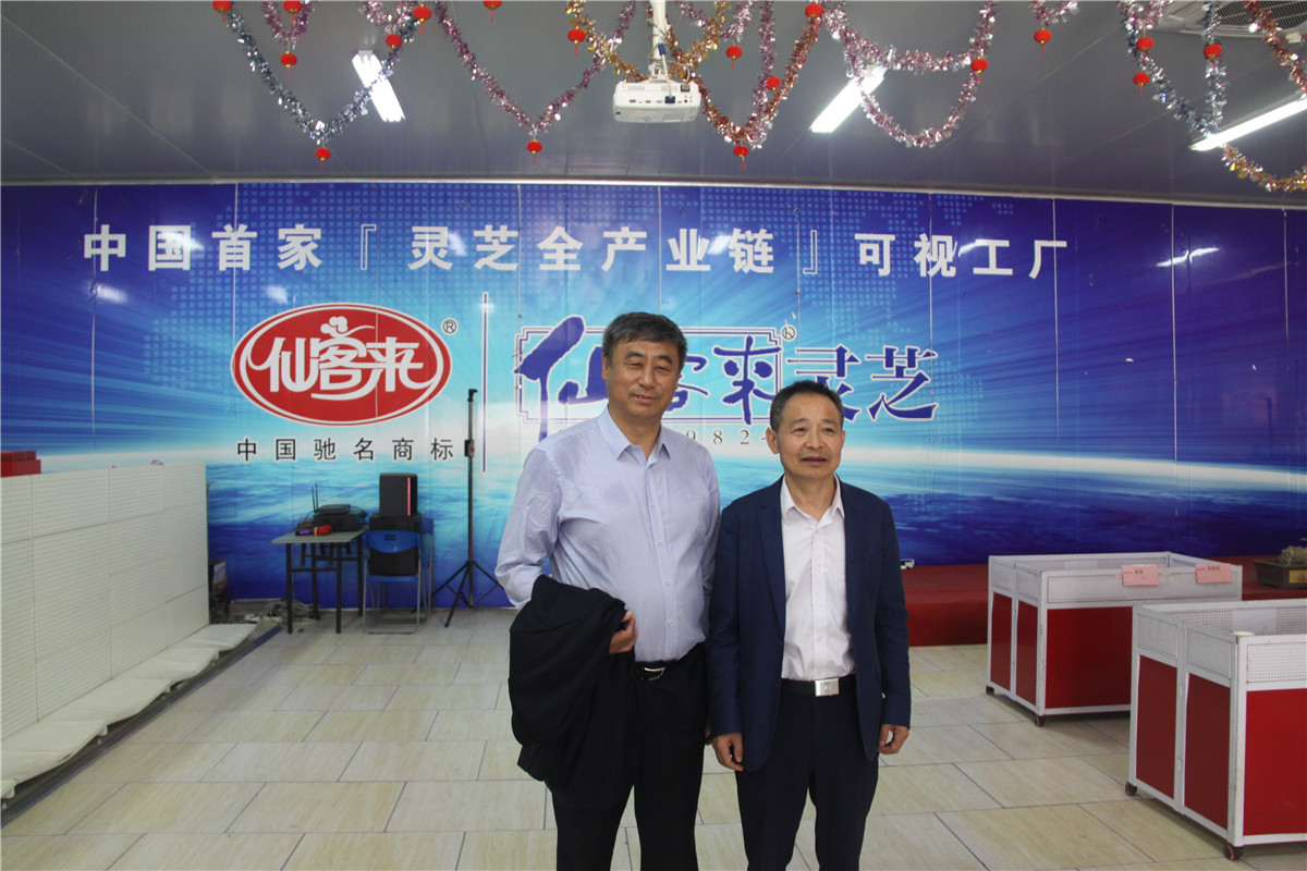 中國(guó)靈芝十大品牌|仙客來(lái)靈芝|仙客來(lái)靈芝破壁孢子粉|仙客來(lái)孢子油|仙客來(lái)靈芝飲片|仙客來(lái)破壁孢子粉|仙客來(lái)靈芝中藥飲片|馳名商標(biāo)|m.madree.com.cn|