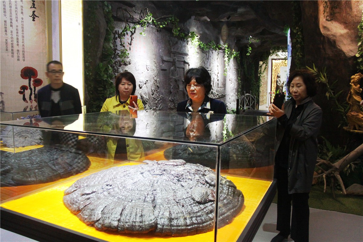 中國(guó)靈芝十大品牌|仙客來(lái)靈芝|仙客來(lái)靈芝破壁孢子粉|仙客來(lái)孢子油|仙客來(lái)靈芝飲片|仙客來(lái)破壁孢子粉|仙客來(lái)靈芝中藥飲片|馳名商標(biāo)|m.madree.com.cn|