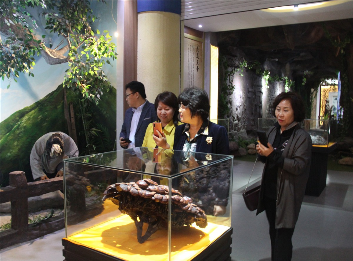 中國(guó)靈芝十大品牌|仙客來(lái)靈芝|仙客來(lái)靈芝破壁孢子粉|仙客來(lái)孢子油|仙客來(lái)靈芝飲片|仙客來(lái)破壁孢子粉|仙客來(lái)靈芝中藥飲片|馳名商標(biāo)|m.madree.com.cn|